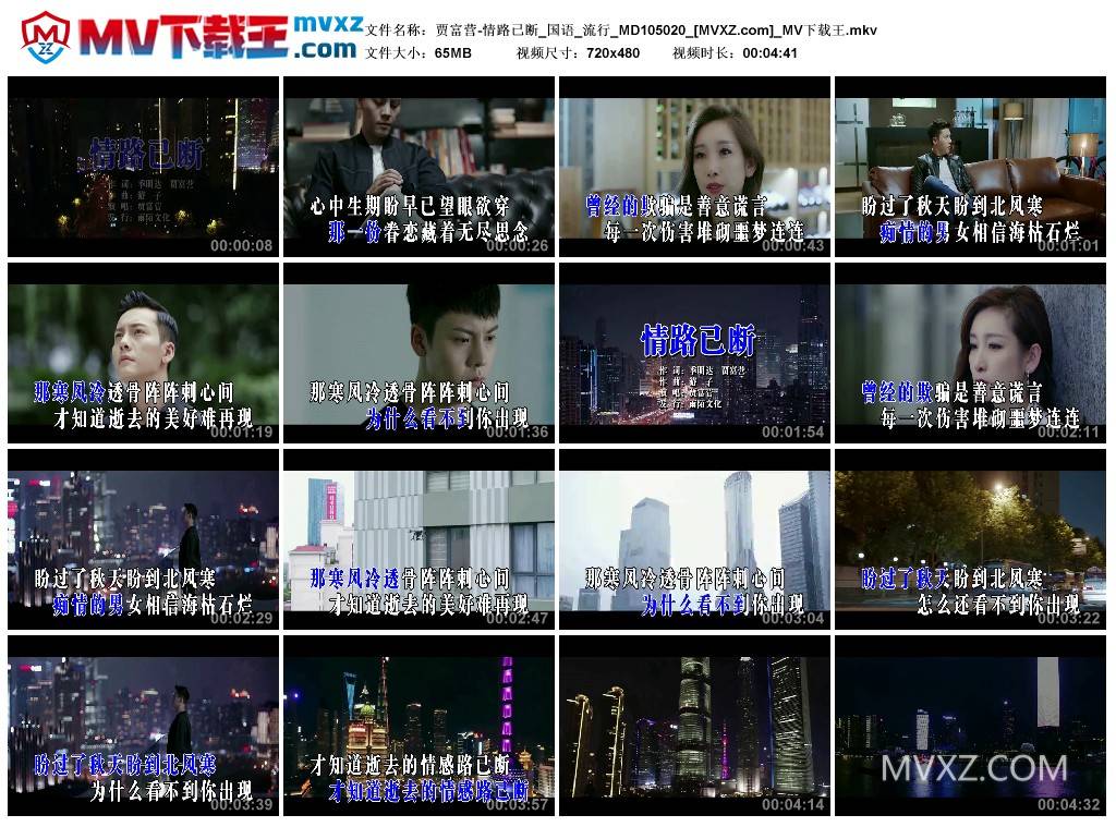 贾富营-情路已断_国语_流行_MD105020